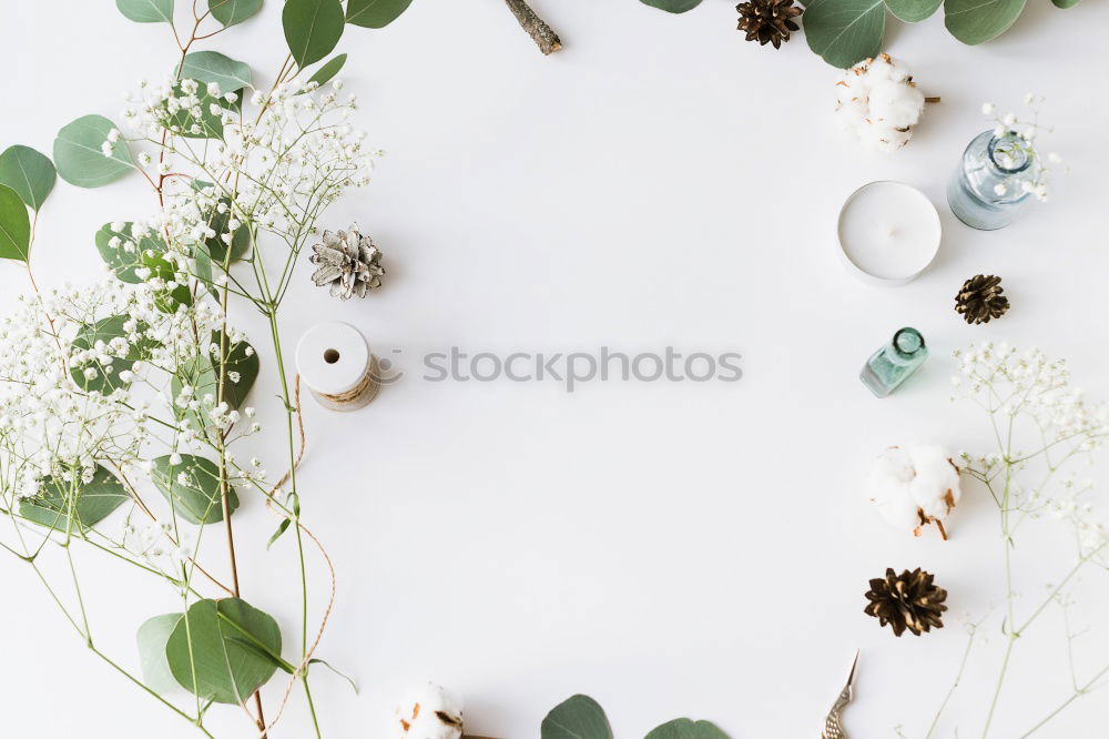 Similar – Image, Stock Photo Green cosmetic accessories