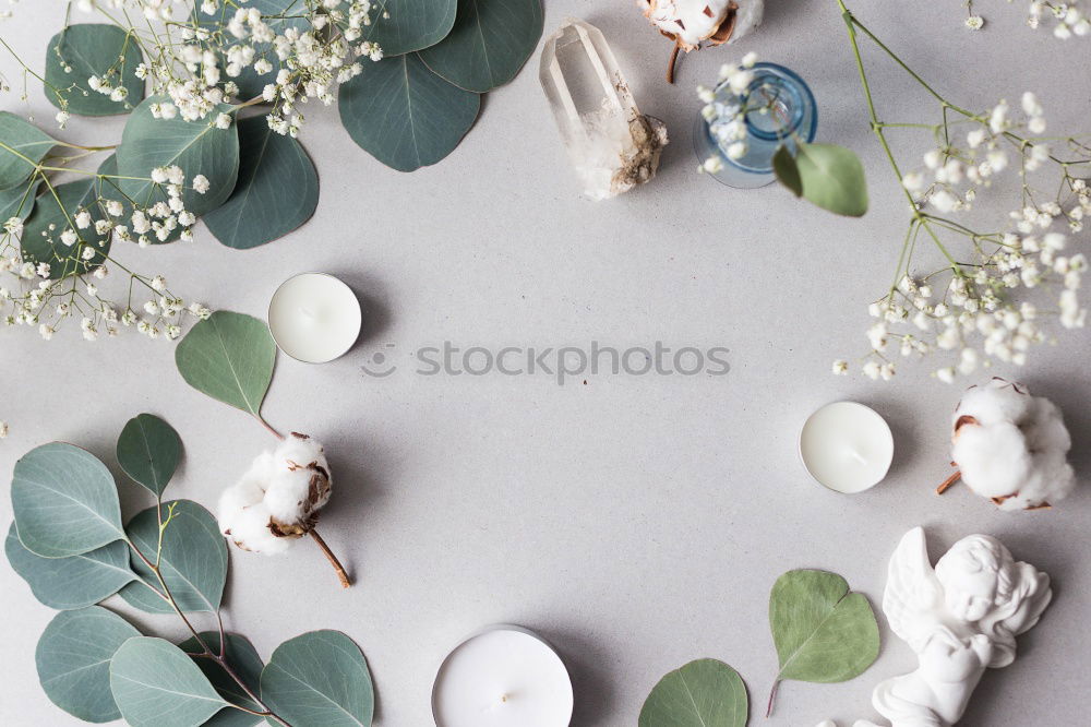 Similar – Image, Stock Photo Green cosmetic accessories