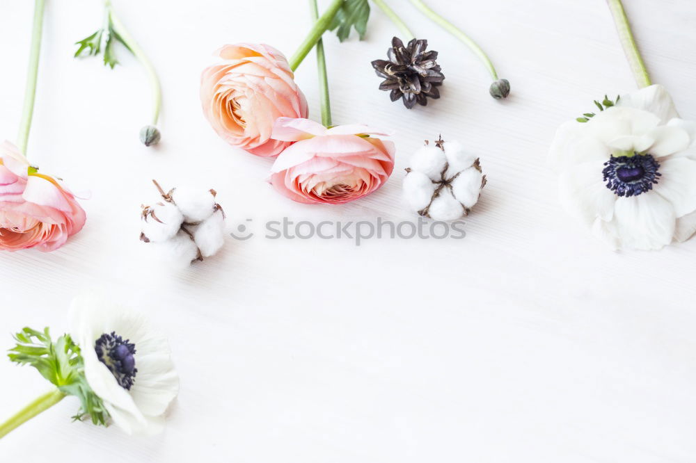 Similar – Blue plates with knife, fork and spring flowers