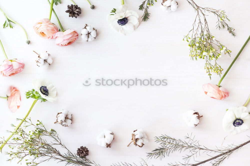 Similar – Round frames with shovel and garden flowers