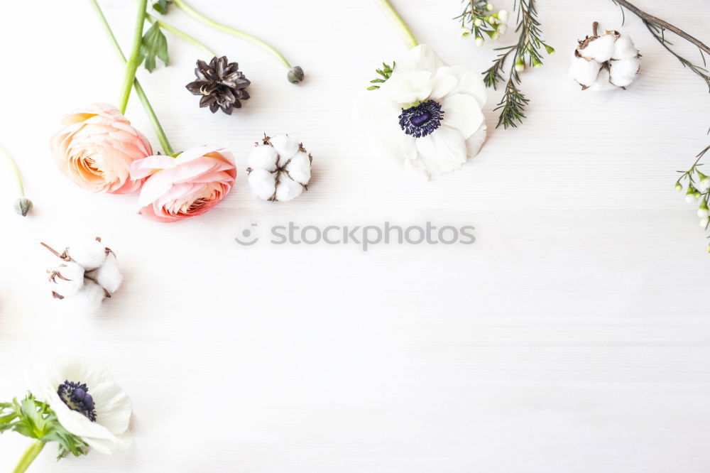 Similar – Blue plates with knife, fork and spring flowers