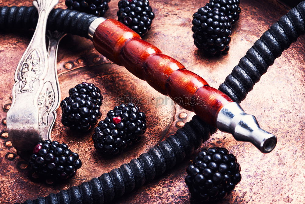 Similar – Stylish oriental shisha with blackberry