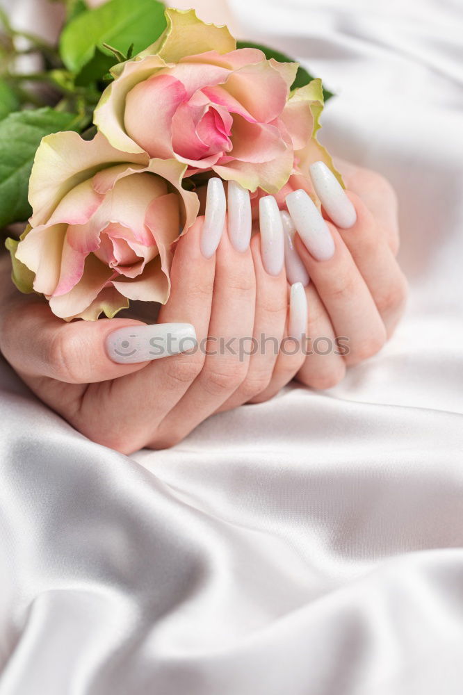 Similar – Image, Stock Photo Flowers for you!