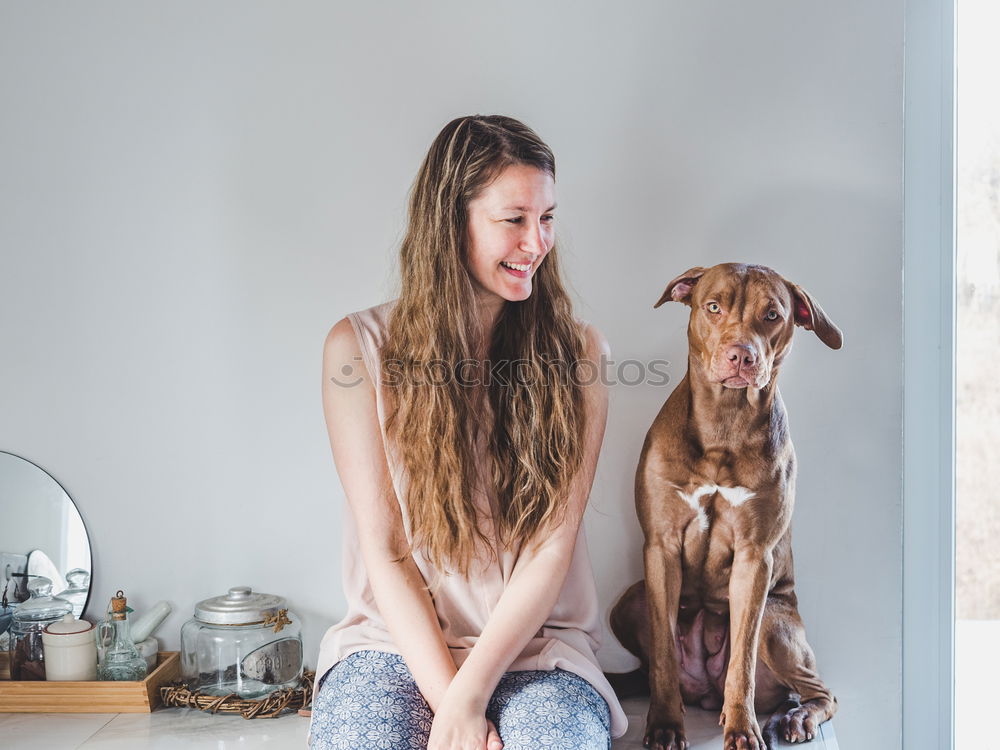 Similar – Image, Stock Photo Young woman feeding Beagle at a table in the kitchen in front of turquoise wall at the table