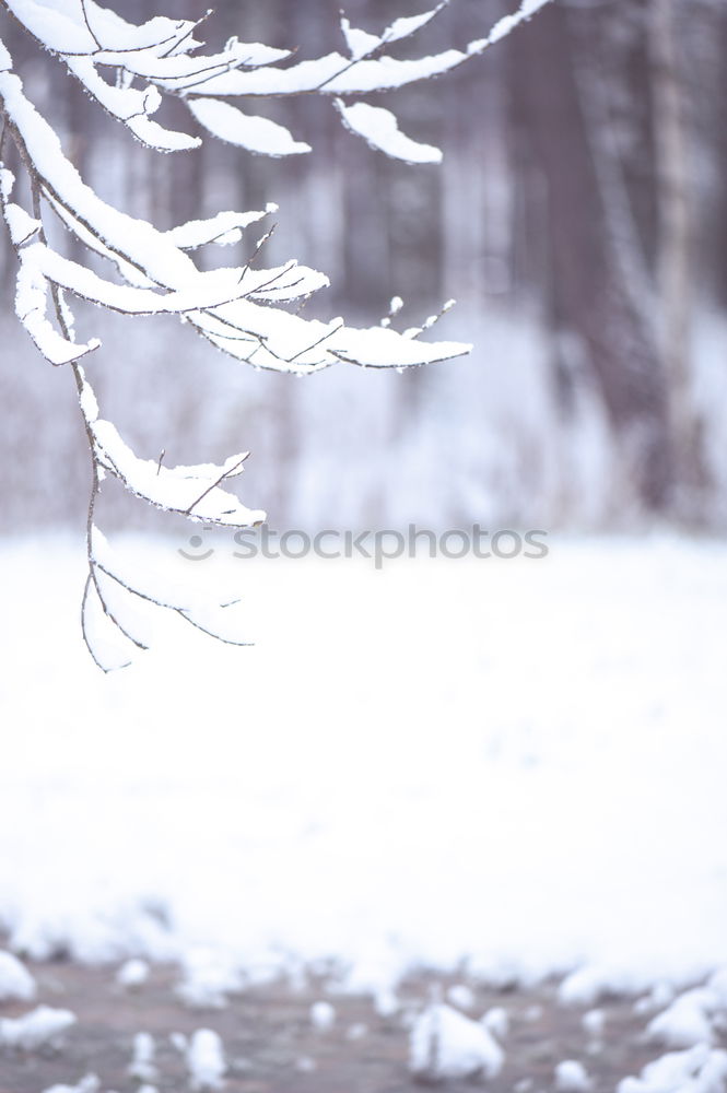 Similar – Image, Stock Photo Winter Cross Mark Sign Red
