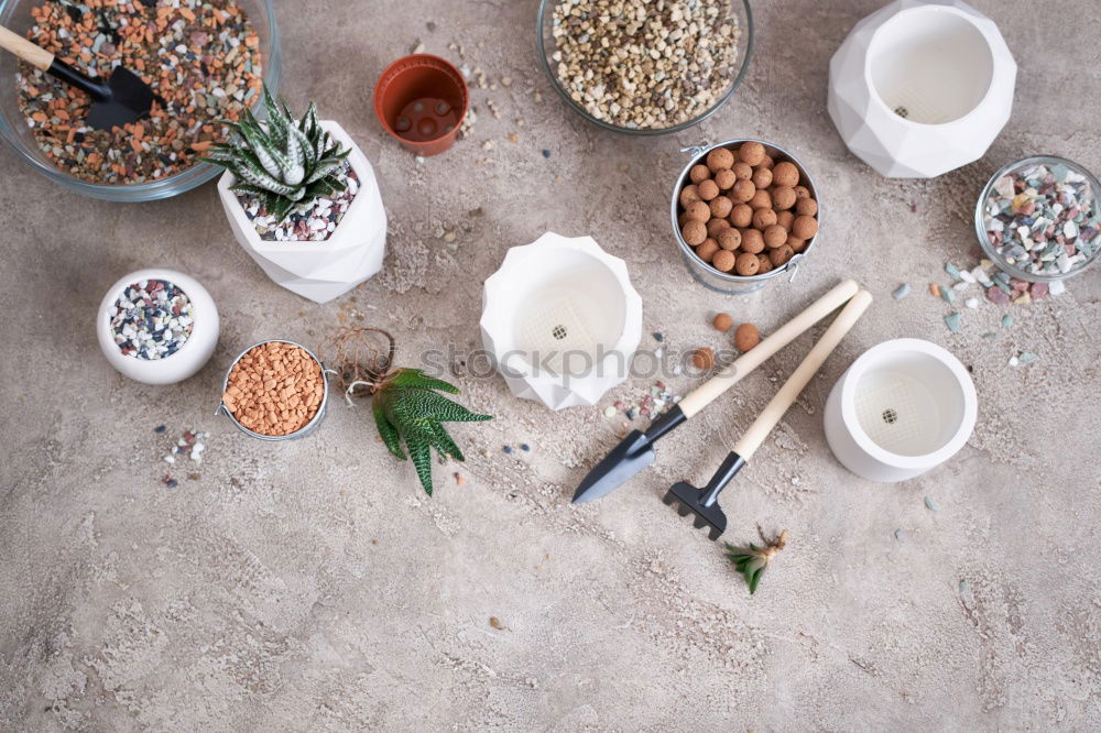 Similar – Image, Stock Photo Salads in glasses and vegetables Ingredients