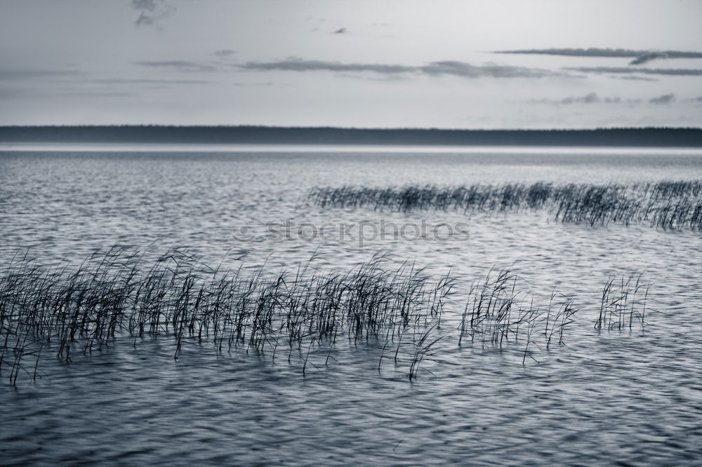 Similar – Watt und Schiffsweg bei Ebbe