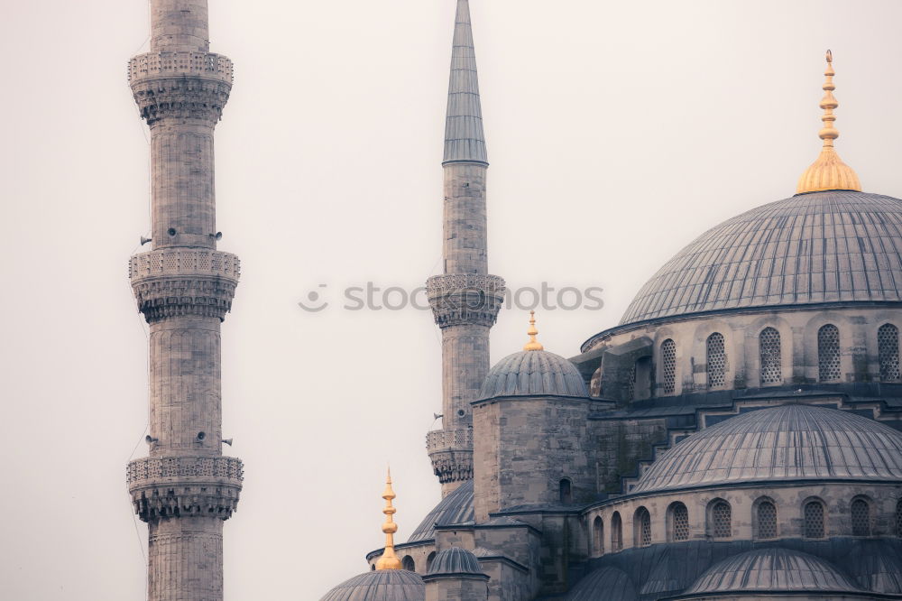 Similar – Blue mosque in grey I