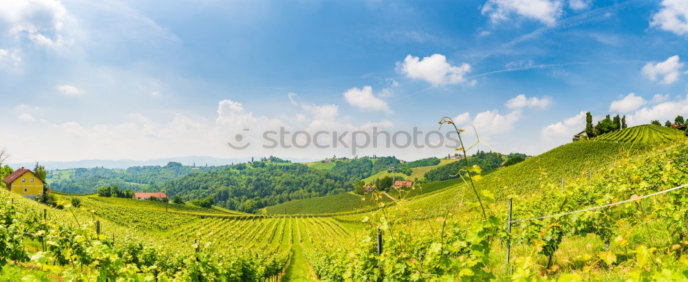 Similar – Image, Stock Photo soothing tea