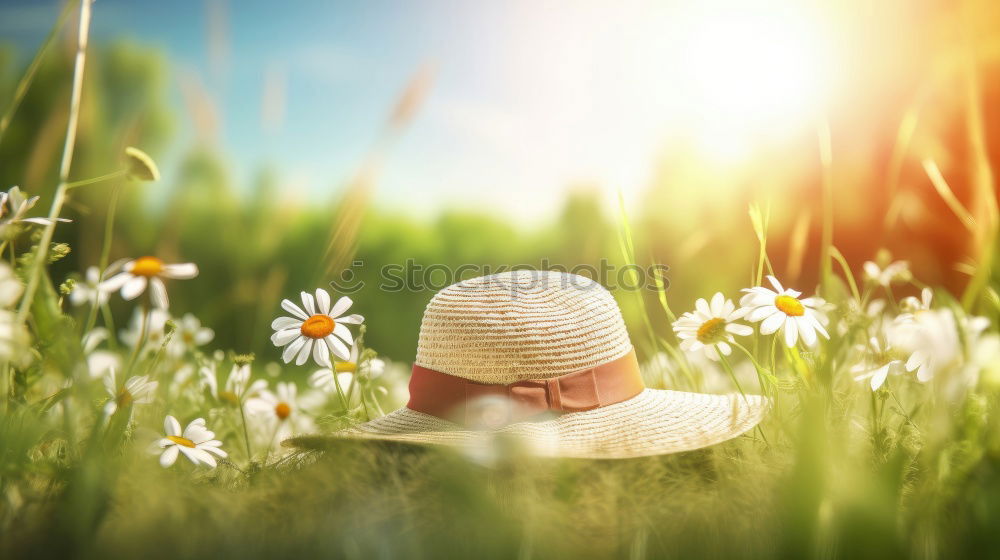 Similar – flower girl Young woman