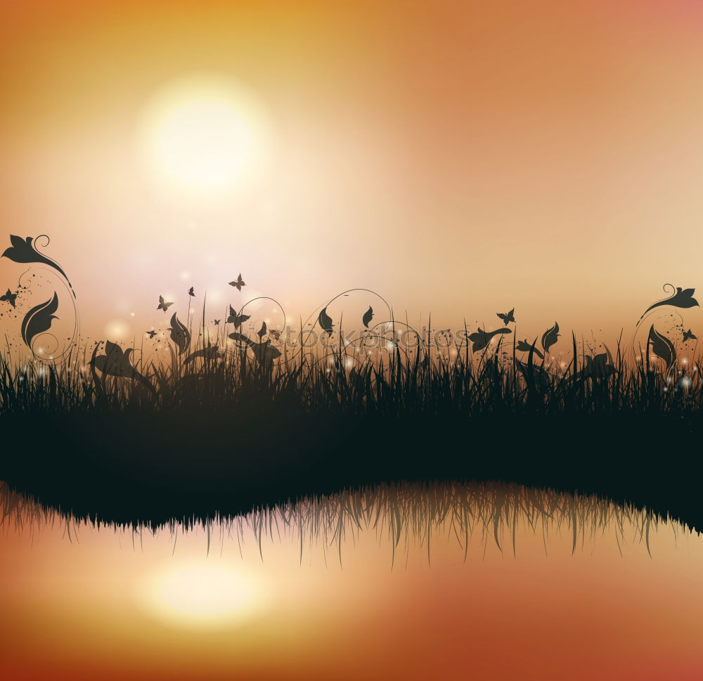 Similar – Sunset, grass, reed, siluette, sunset,