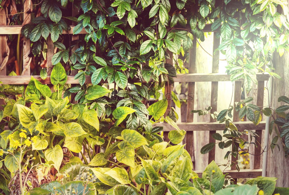 Similar – Image, Stock Photo trash cans Gardening