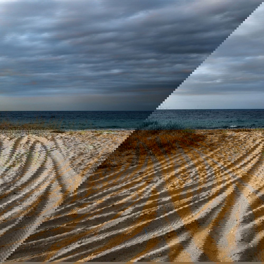 Similar – Foto Bild Fenster zum Meer Strand