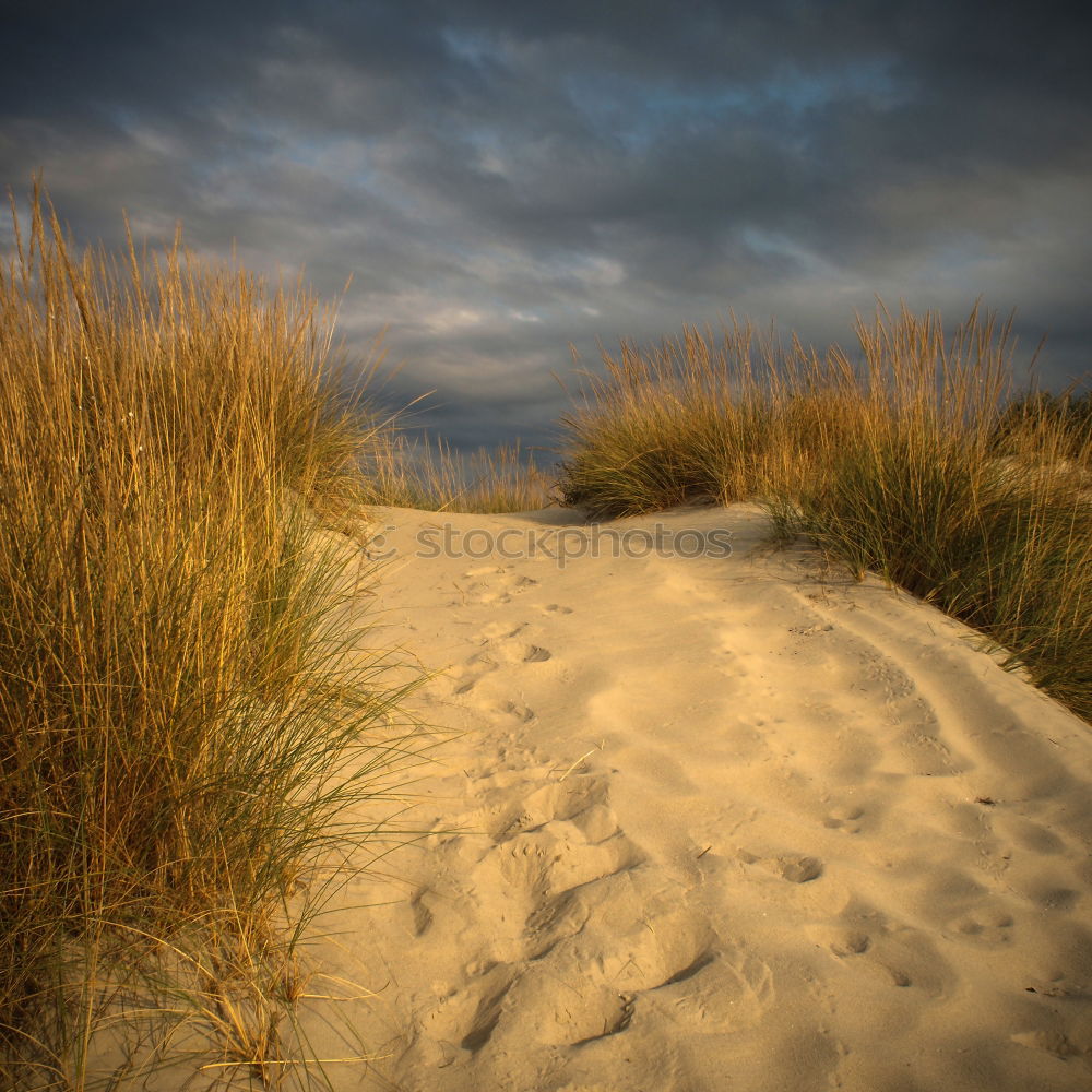 Similar – coastline Lake Cliff