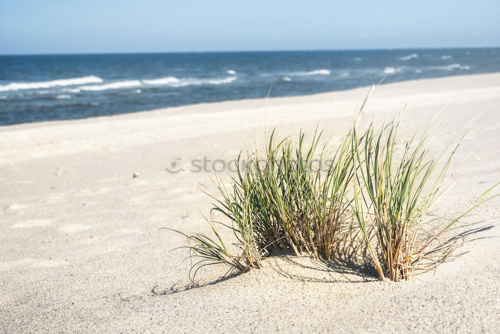 Similar – Baltic Ocean Waves