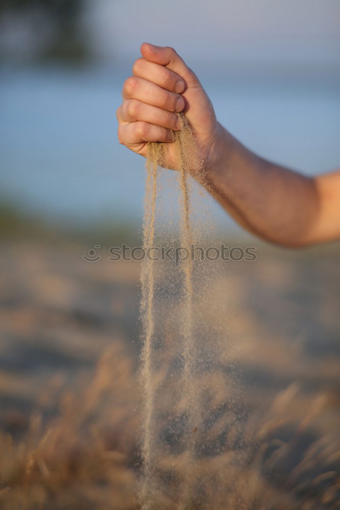 Similar – fußpeeling à la nature