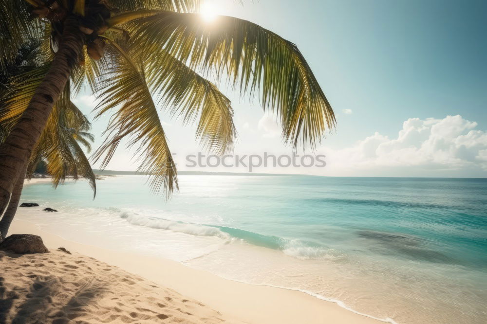 Similar – Maldives island luxury resort palm tree with hanging hammock