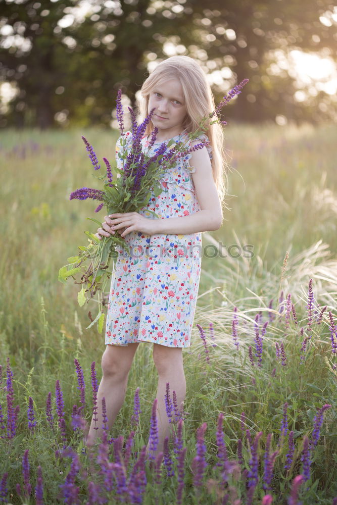 Similar – romantic portrait of happy child girl picking bouquet of beautiful blue delphinium flowers from summer garden