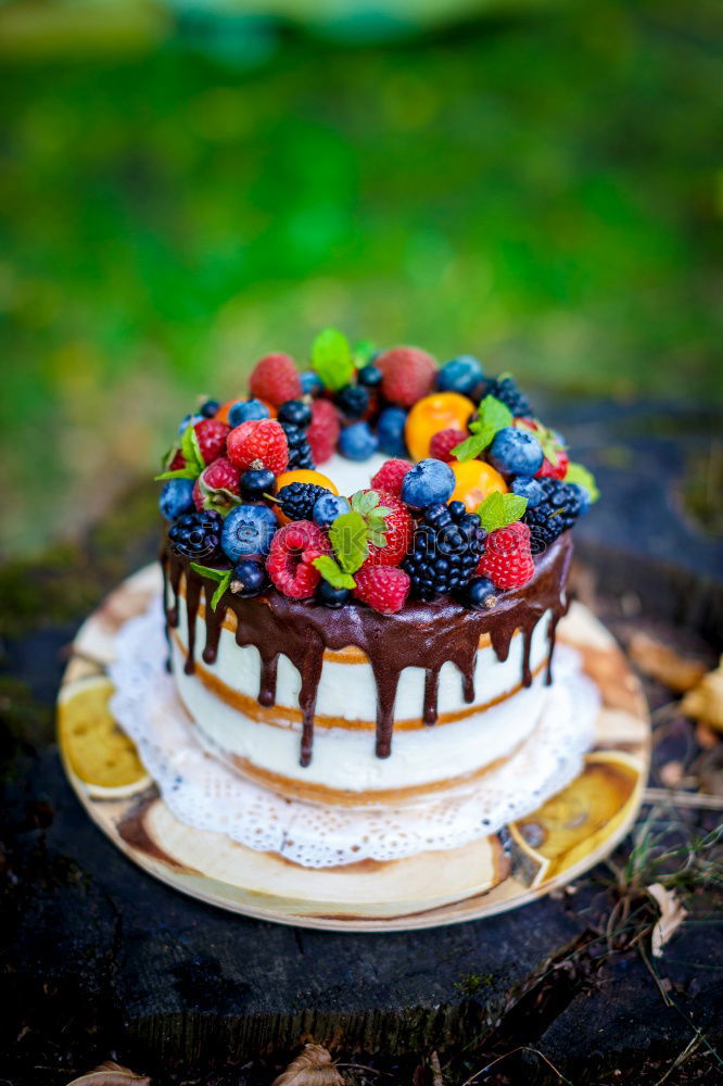 Similar – Image, Stock Photo berry cake Food Cake