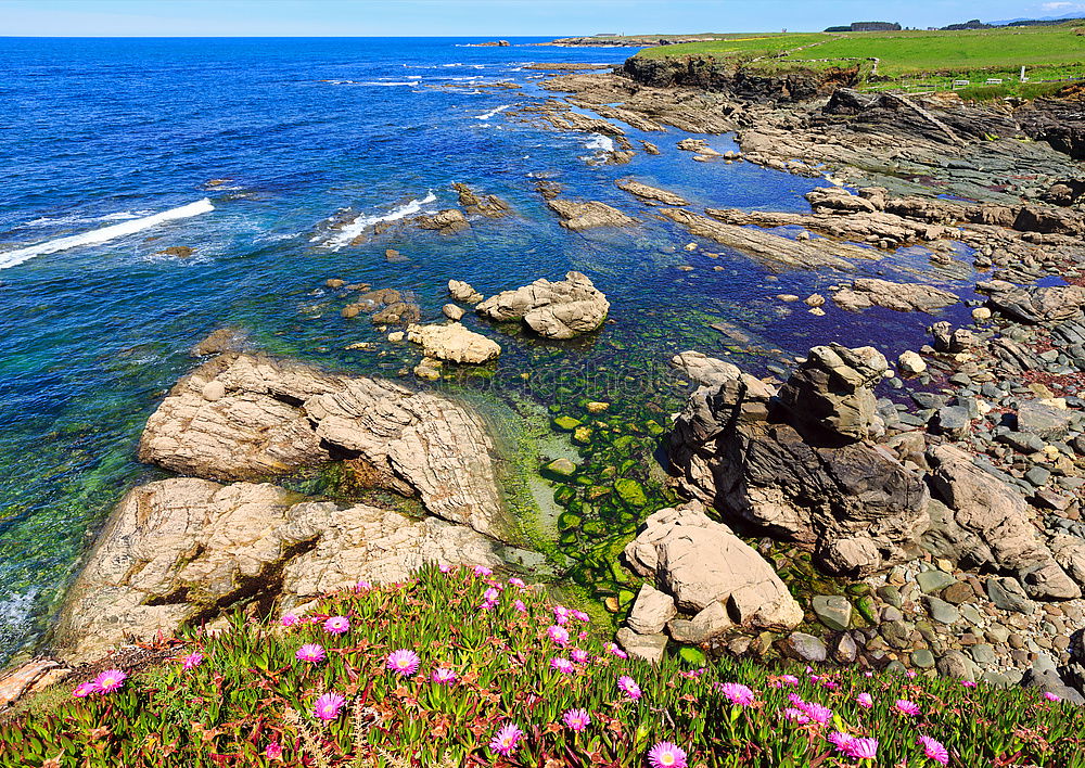 Similar – Image, Stock Photo Lighthouse at low tide in Cornwall 2