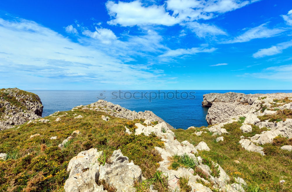 Similar – Image, Stock Photo coastal meadow Environment