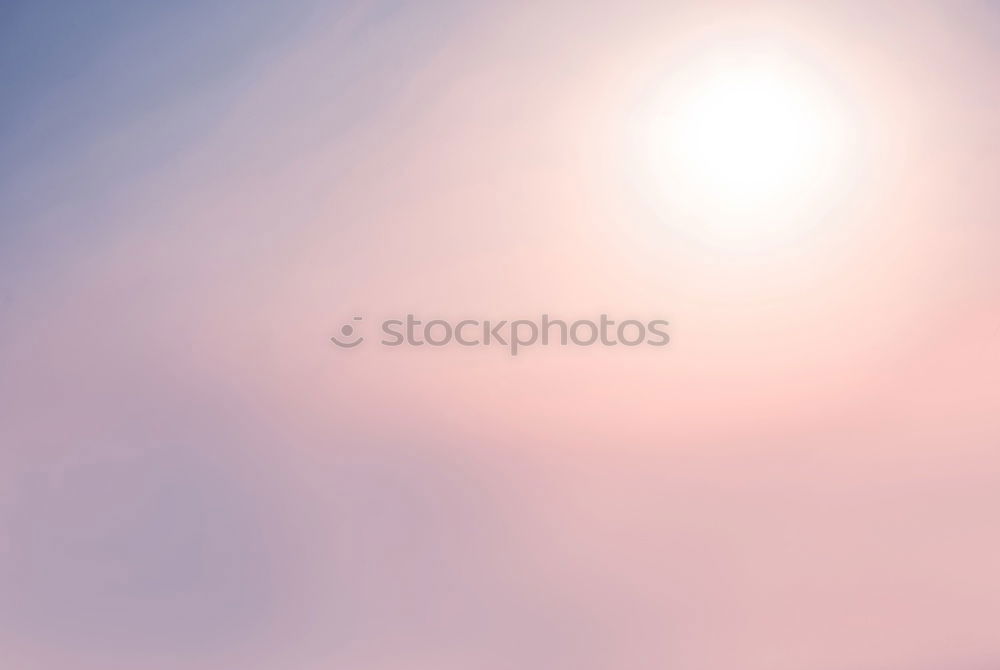 Similar – Image, Stock Photo summer. Summer Spring Leaf