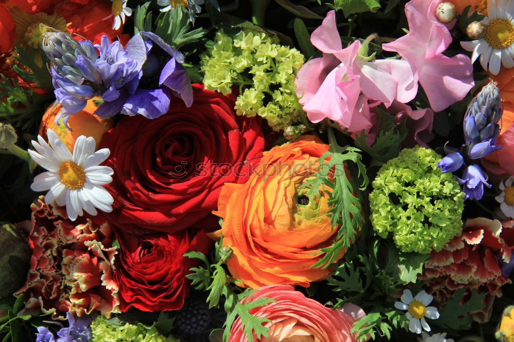 Similar – Image, Stock Photo Swabian bouquet of flowers