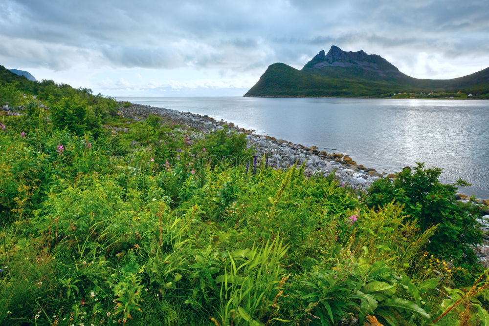 Similar – Image, Stock Photo Lough Leane Nature