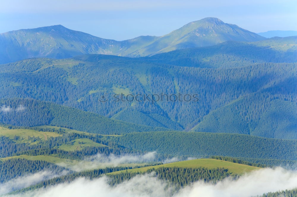 Similar – Image, Stock Photo Green pine trees in the mountains