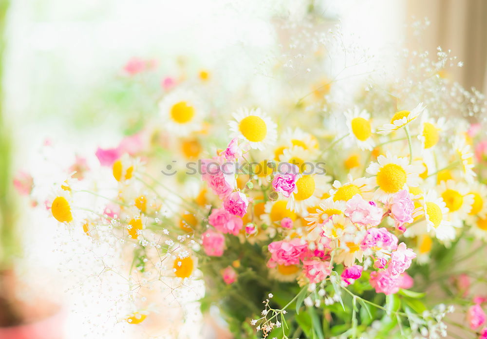 Similar – Image, Stock Photo Bouquet with wildflowers