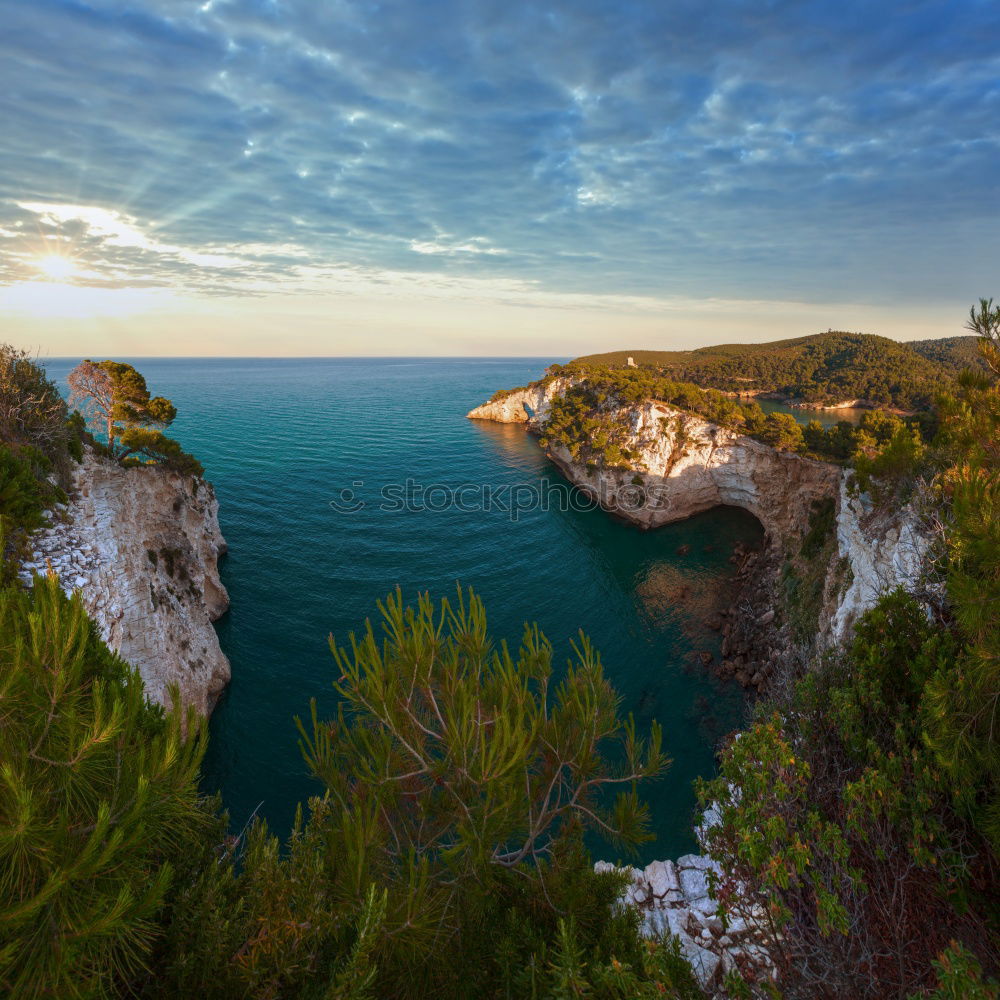 Similar – Image, Stock Photo Mallorca from its beautiful side 47