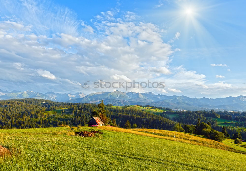 Similar – Image, Stock Photo Switzerland Environment