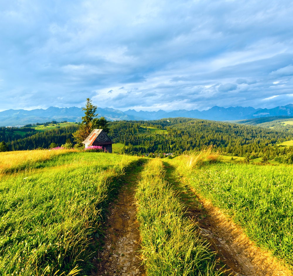 Similar – Image, Stock Photo Carpathian Mountains Landscape In Romania