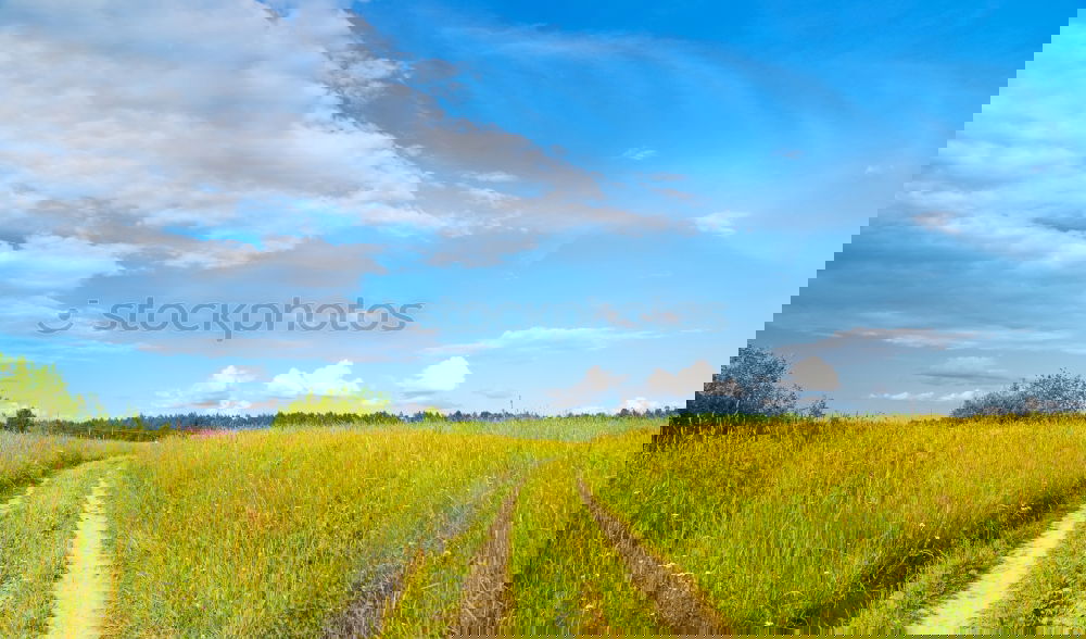 Similar – Image, Stock Photo dirty road in the field in the spring