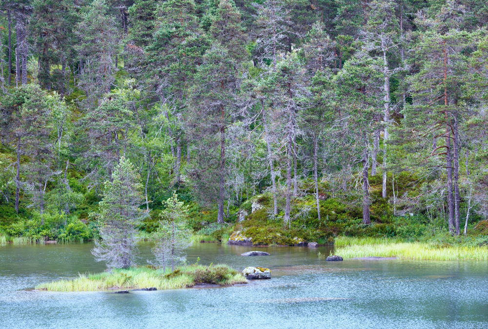 (Duck-)house at the lake