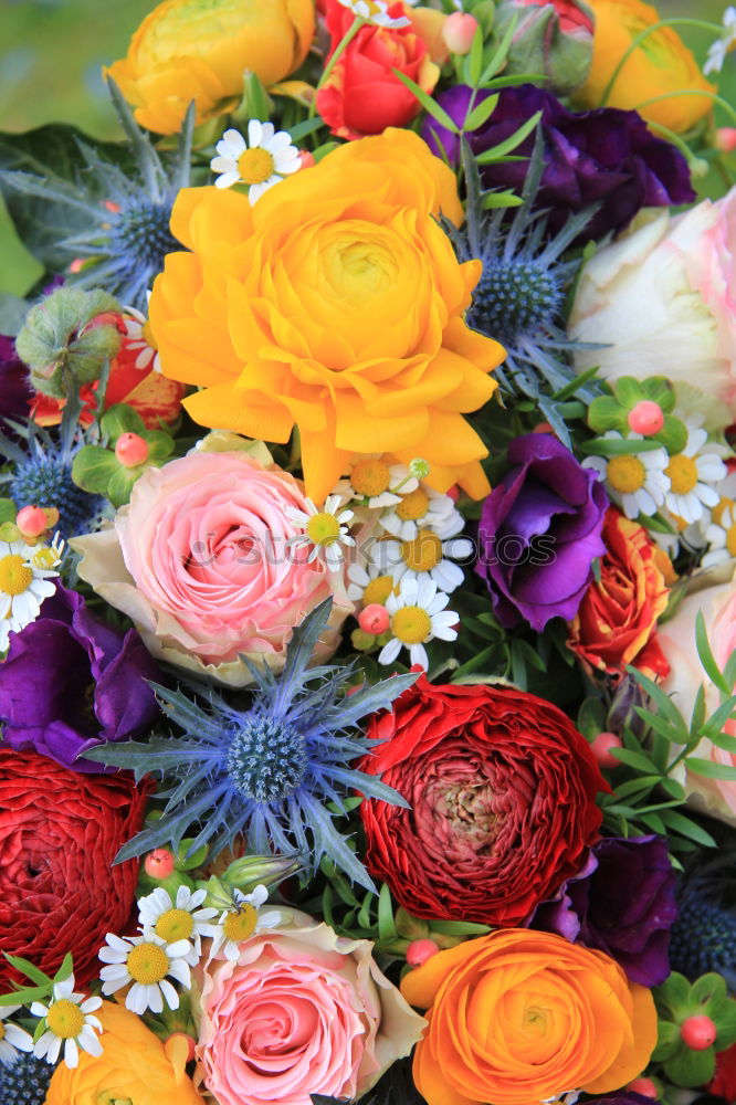 Similar – Image, Stock Photo Bouquet on red background