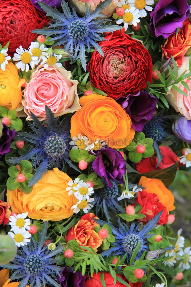 Similar – Image, Stock Photo Autumn flower composition with sunflowers and dahlias.