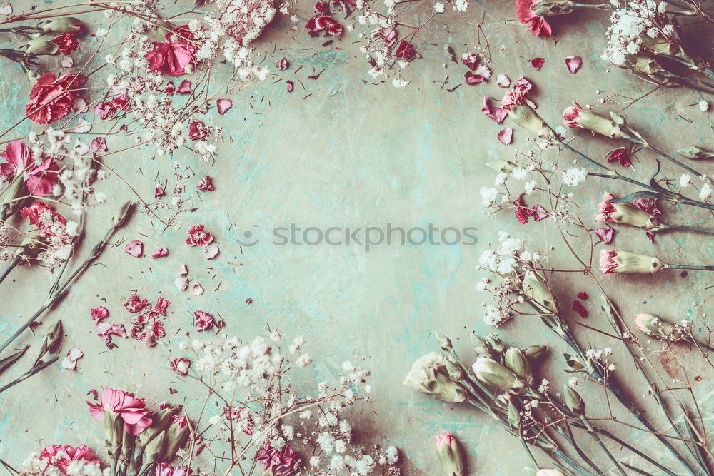 Similar – Image, Stock Photo Florist Worktable