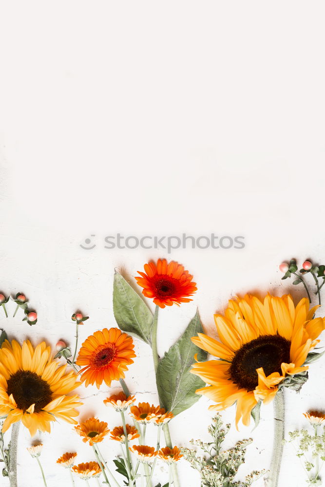 Similar – Image, Stock Photo Beautiful balcony flowers