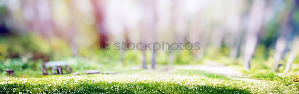 Similar – Image, Stock Photo hansguckindieluft