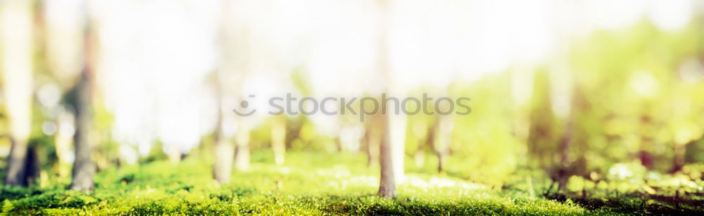 Similar – Image, Stock Photo Nature to touch Lifestyle