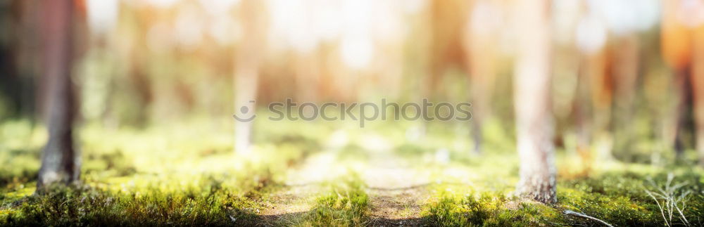 Similar – Image, Stock Photo He’s at the door. Autumn