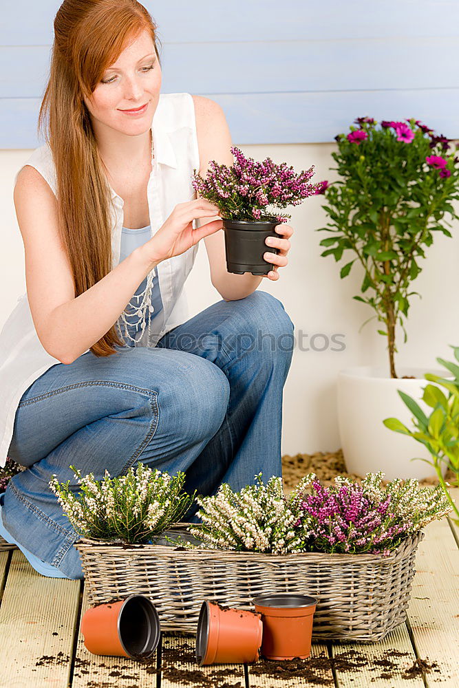 Similar – Image, Stock Photo Woman’s hands transplanting plant.