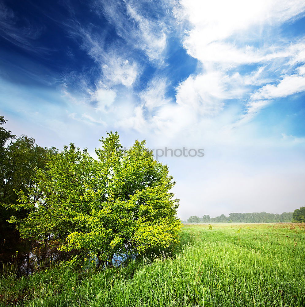 Similar – Image, Stock Photo Rummelsburger Bay