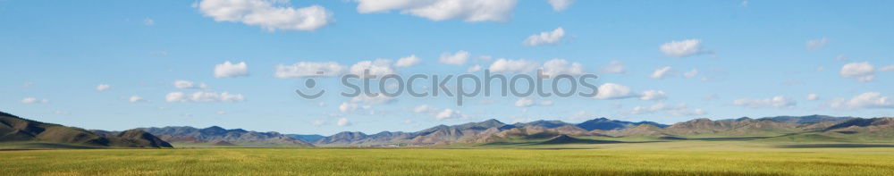 Similar – Foto Bild frühlingsfarben Frühling