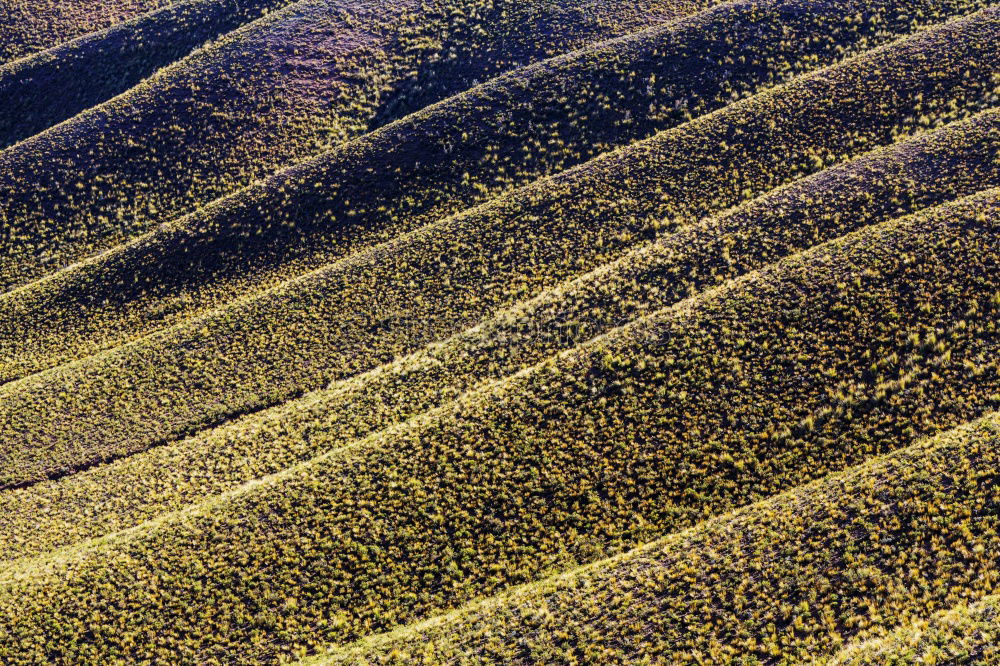 Similar – farmhand Field Loosen Plow