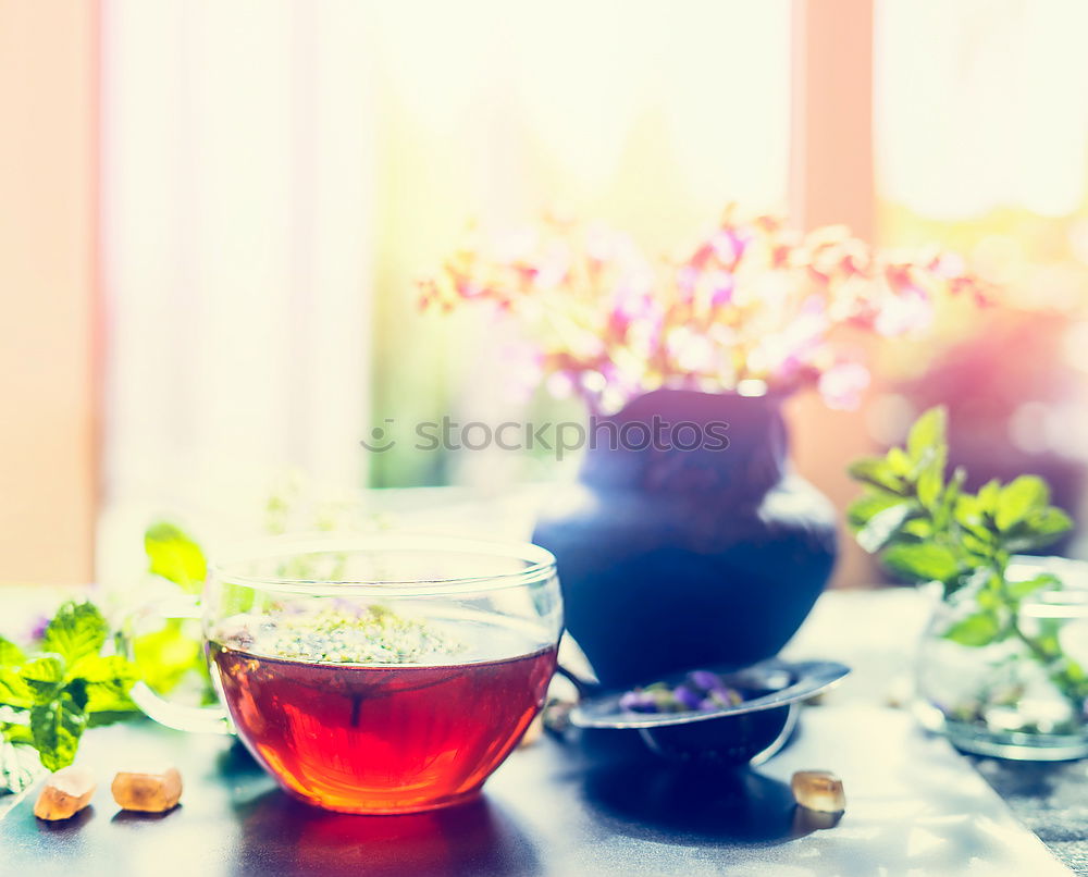 Similar – Image, Stock Photo Cup with hot herbal tea at window