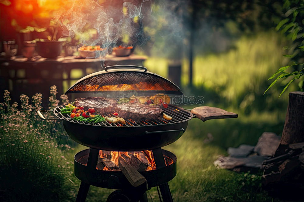 Similar – Image, Stock Photo BBQ Man Human being