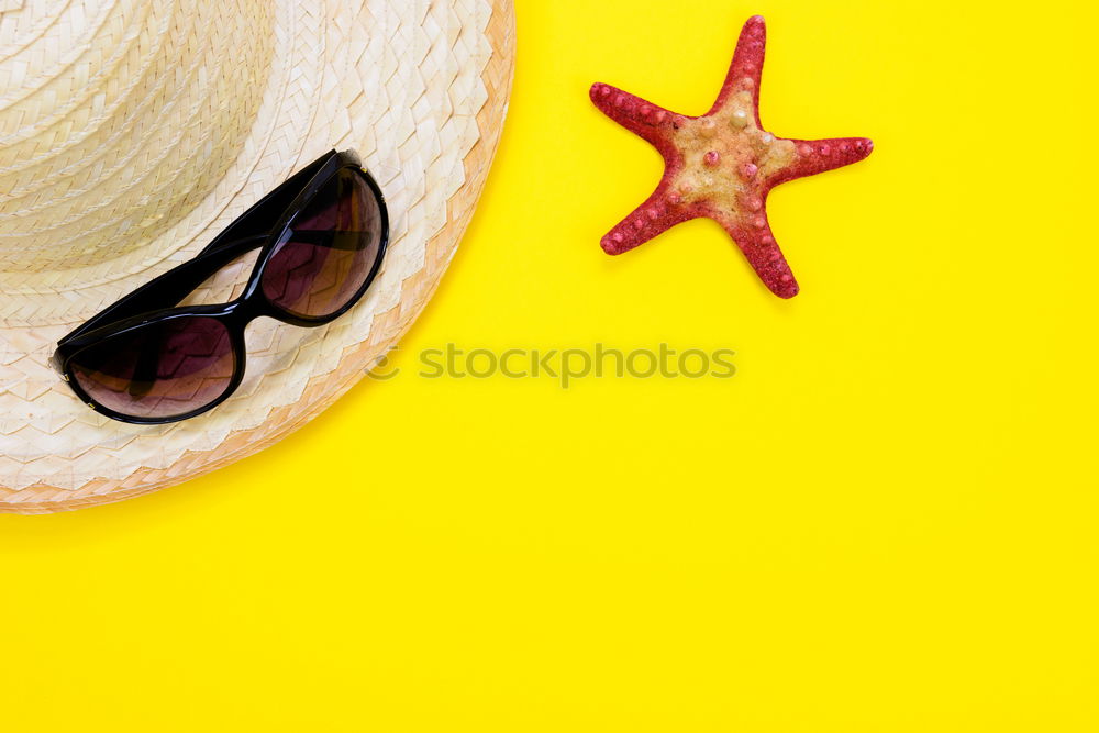 Similar – Straw hat with sunglasses and tropical leaves