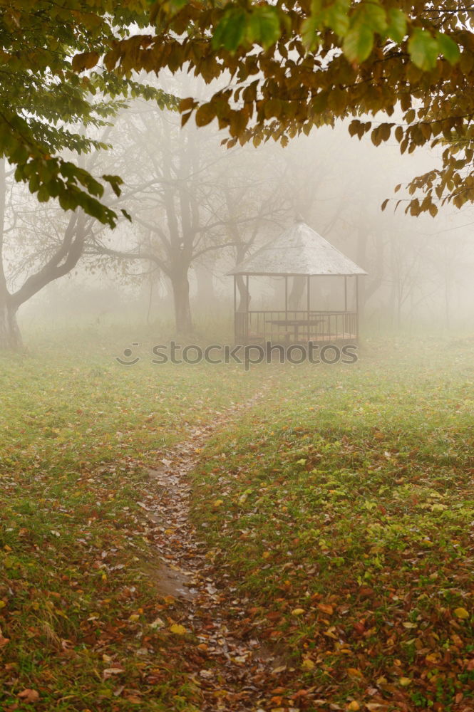 Similar – Image, Stock Photo fog in early morning in late autumn or winter garden